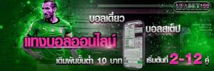 เว็บแทงบอลโลก